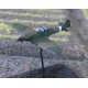 CinC MS071 Marine Spitfire Mk1