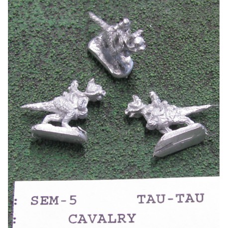 C SEM005 Cavalry
