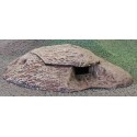 EC008 Japanese light FH cave emplacement (JST)